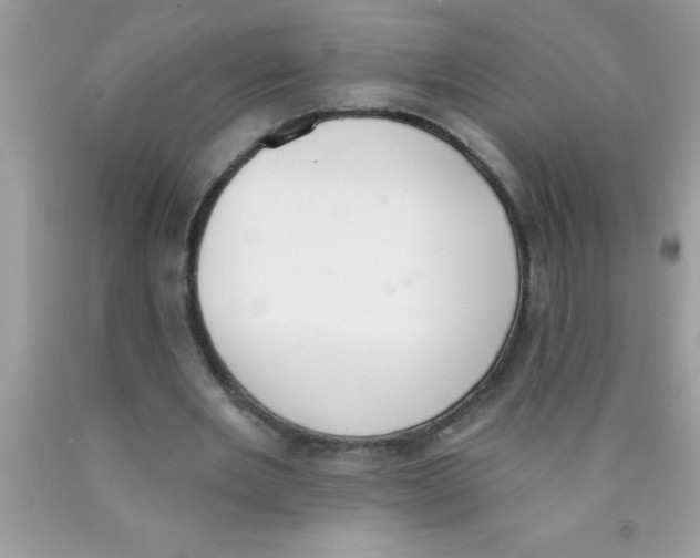 X0000089850485200707262110