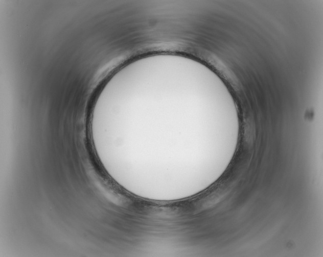 X0000089850486200707262110