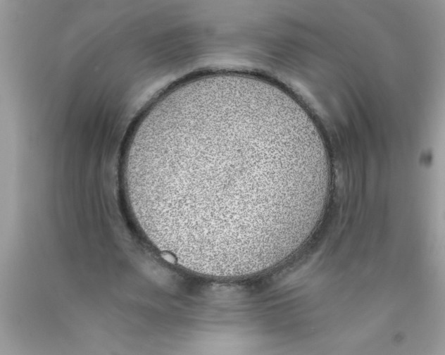 X0000089850487200707262110