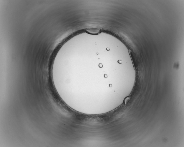 X0000089850488200707262110