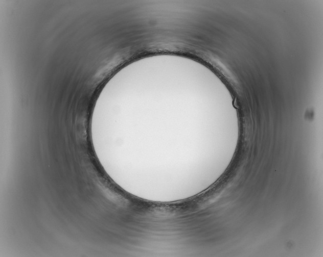 X0000089850489200707262110