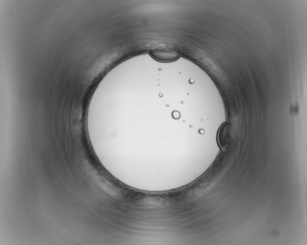 X0000089850490200707262110