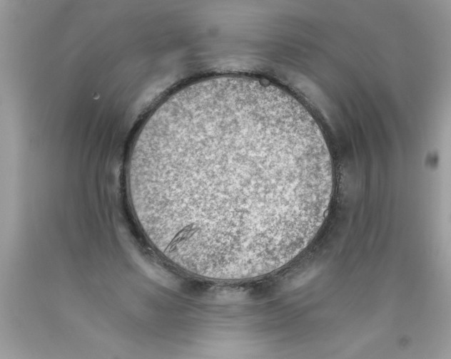 X0000089850491200707262110