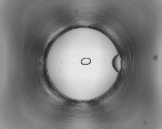 X0000089850492200707262110