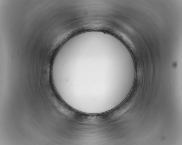 X0000089850493200707262110