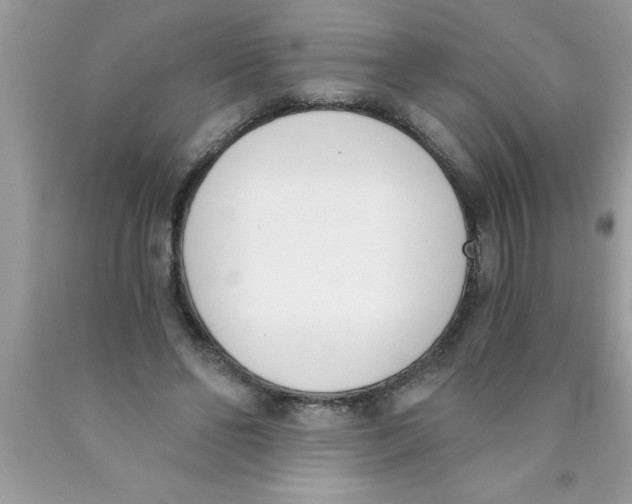 X0000089850494200707262110