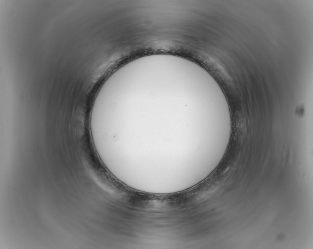 X0000089850496200707262110