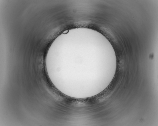 X0000089850498200707262110