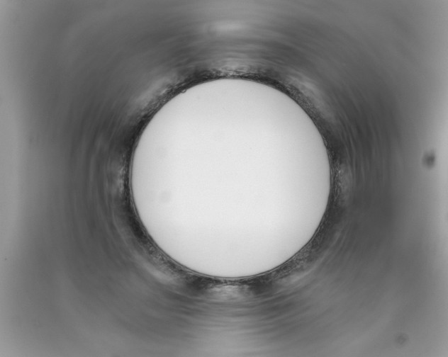 X0000089850499200707262110