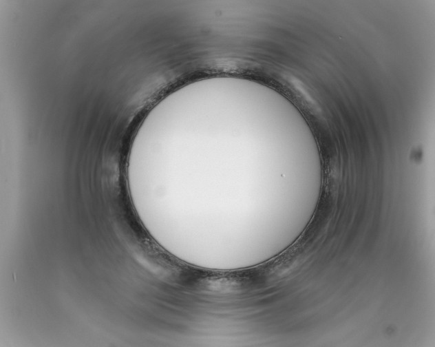 X0000089850500200707262110