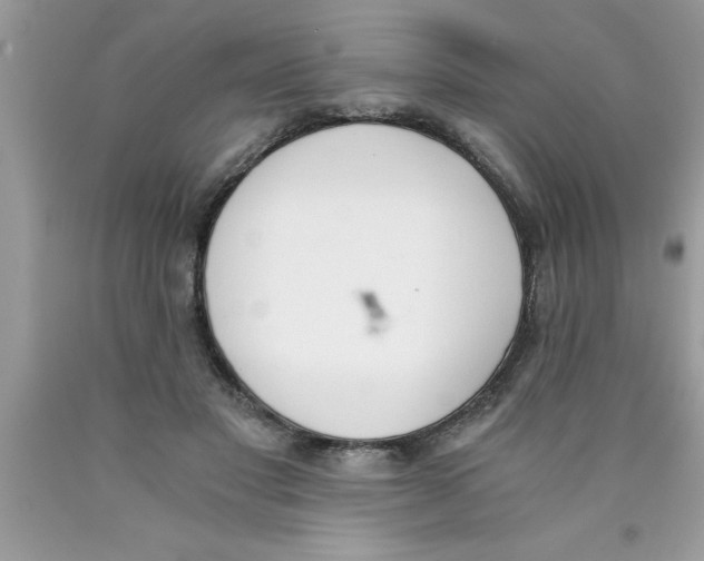 X0000089850501200707262110