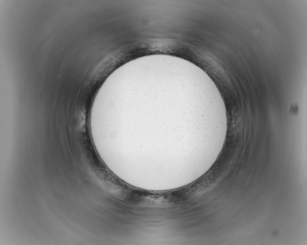 X0000089850502200707262110