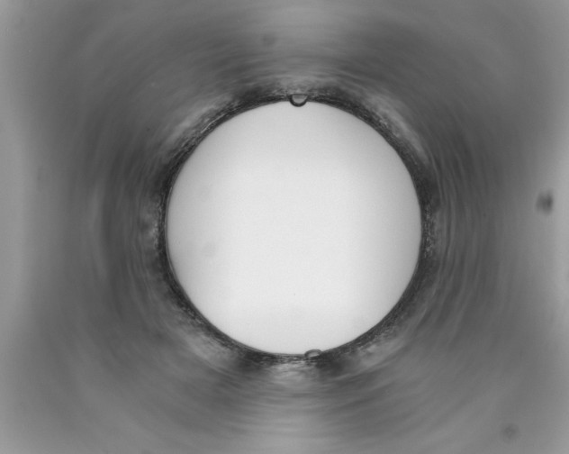 X0000089850505200707262110