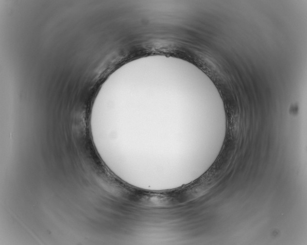 X0000089850506200707262110