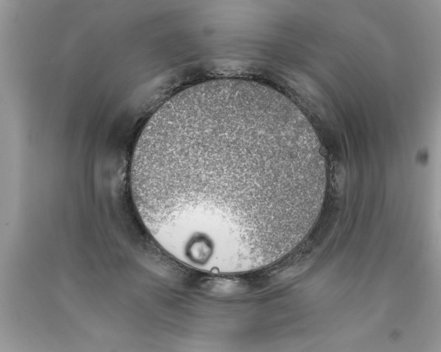 X0000089850507200707262110