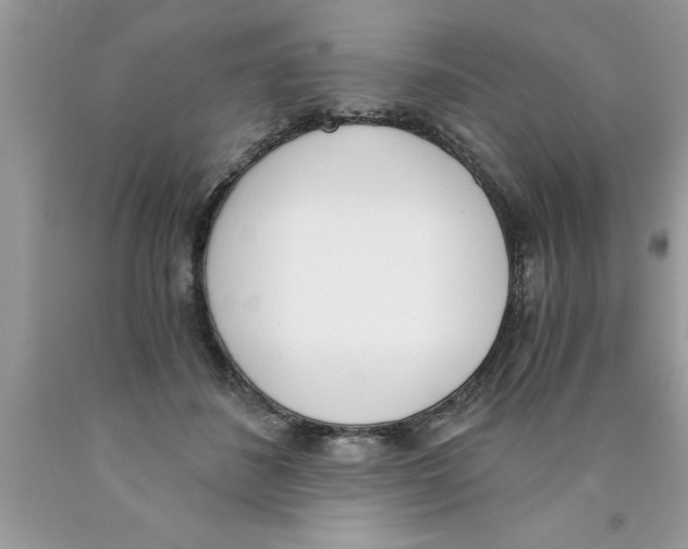 X0000089850508200707262110