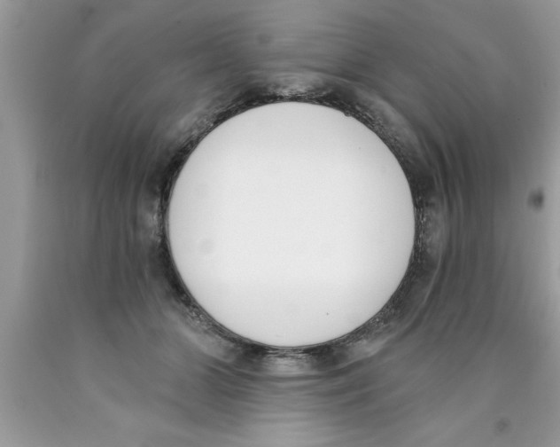 X0000089850510200707262110