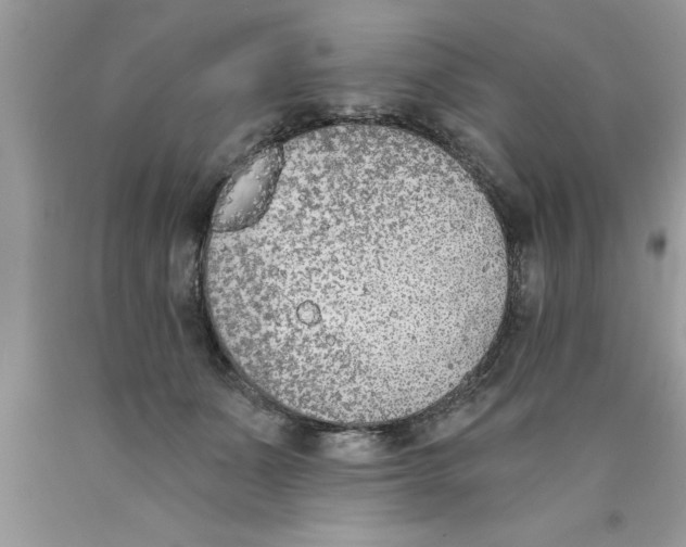 X0000089850511200707262110