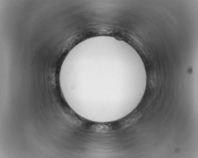 X0000089850512200707262110