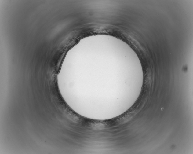 X0000089850513200707262110