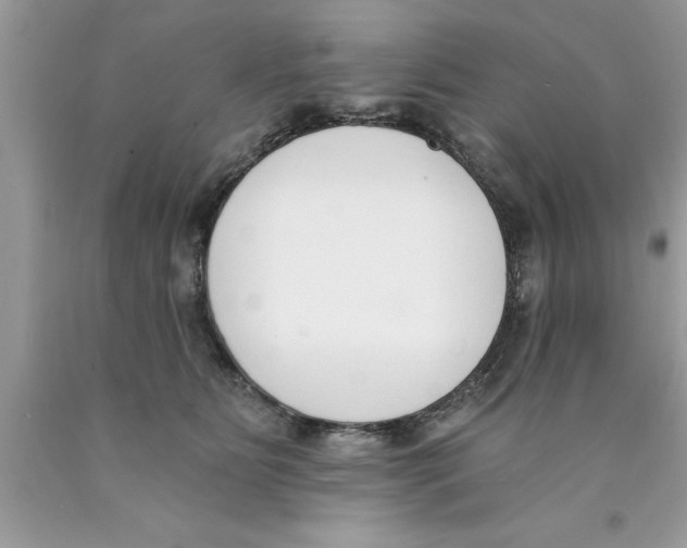 X0000089850515200707262110