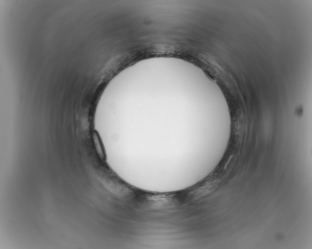 X0000089850516200707262110