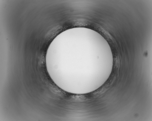 X0000089850517200707262110