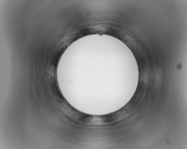 X0000089850518200707262110