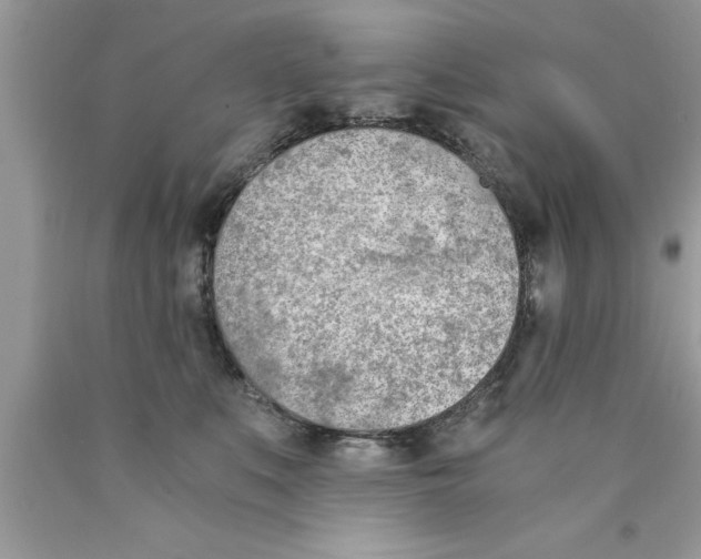 X0000089850519200707262110