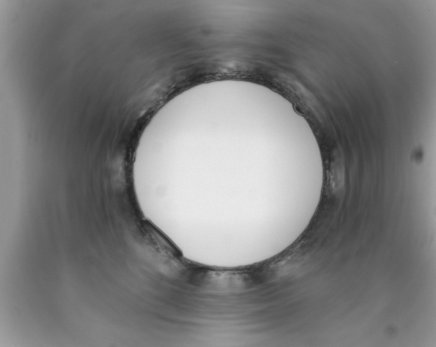 X0000089850520200707262110