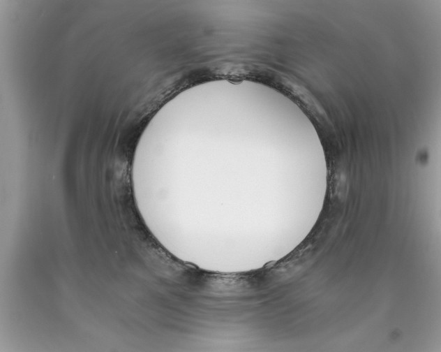 X0000089850521200707262110