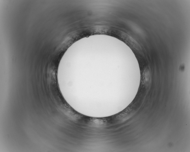 X0000089850522200707262110