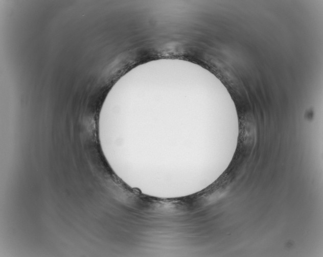 X0000089850523200707262110