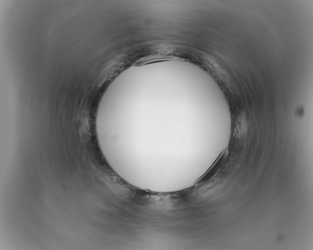 X0000089850524200707262110