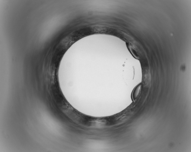 X0000089850525200707262110