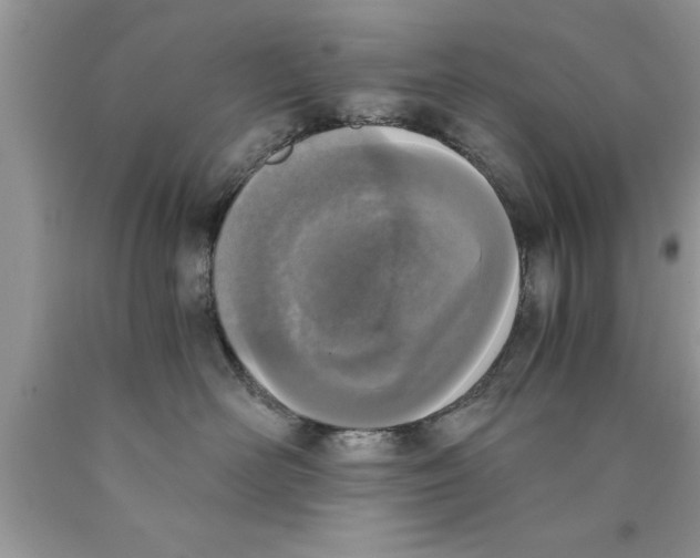 X0000089850526200707262110