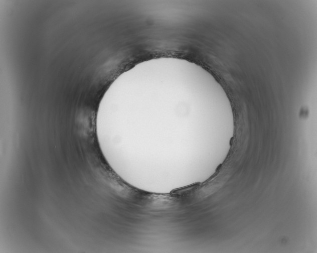 X0000089850528200707262110