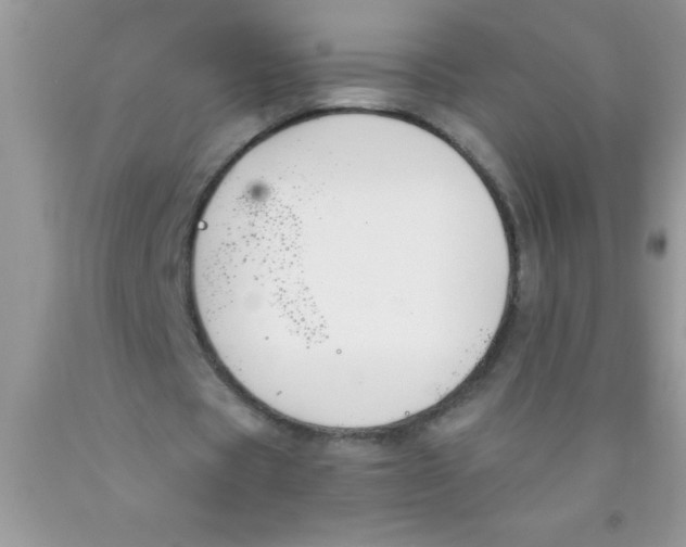 X0000089850529200707262109