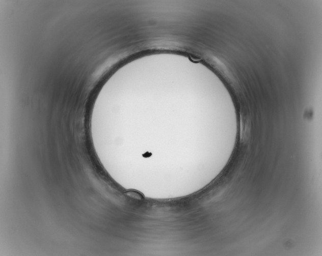 X0000089850531200707262109