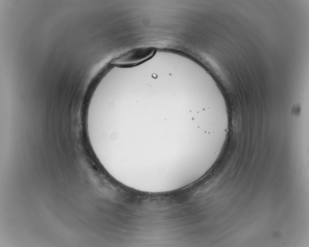 X0000089850532200707262109