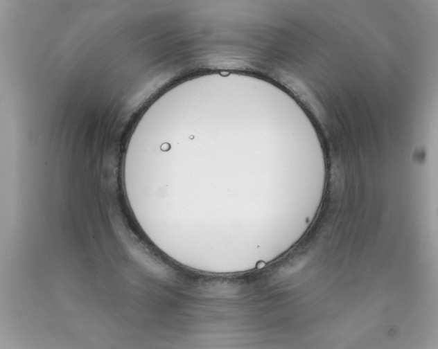 X0000089850533200707262109