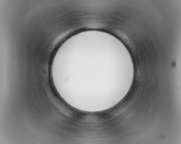 X0000089850535200707262109