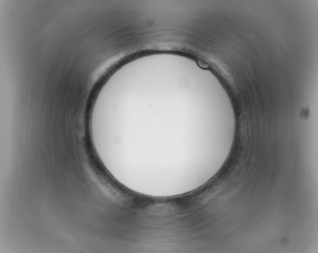 X0000089850536200707262109