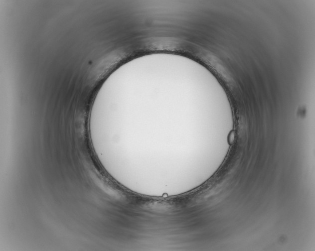 X0000089850537200707262109