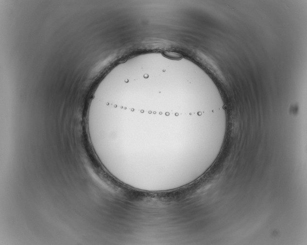 X0000089850538200707262109