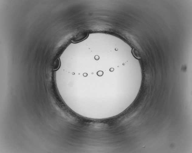 X0000089850539200707262109