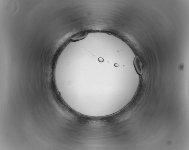 X0000089850540200707262109