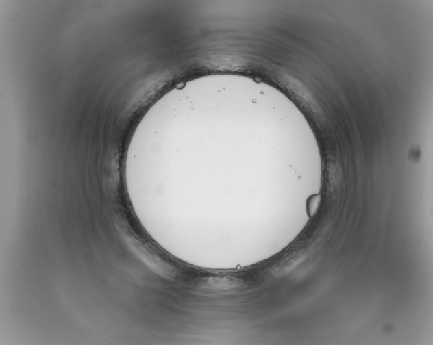 X0000089850541200707262109