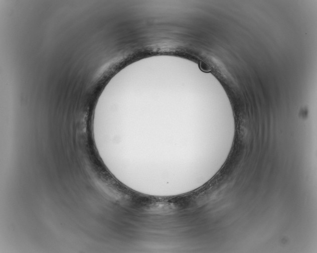 X0000089850543200707262109