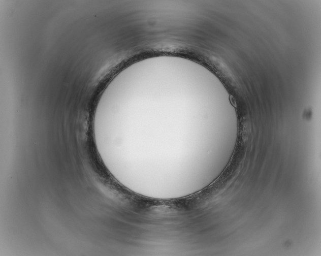 X0000089850544200707262110